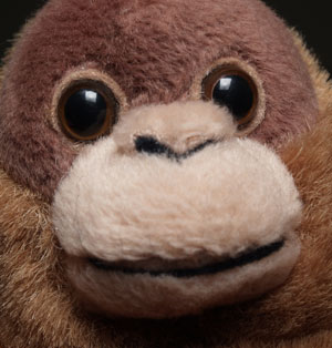 Monkey300